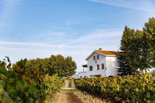 El Pla del Penedes Villa | Casa Fontanals