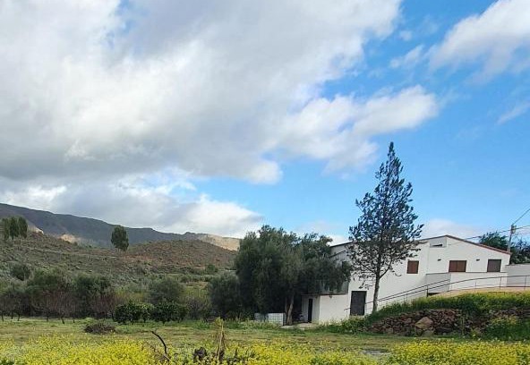 San Bartolome de Tirajana House | Casa Hoya Grande