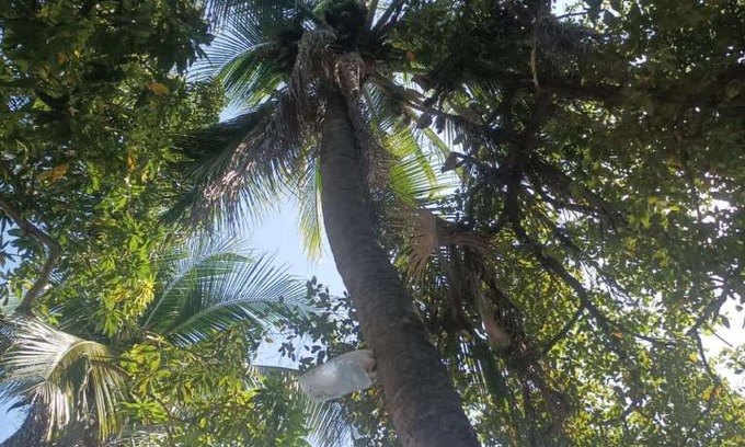 Torices House | Casa Jean