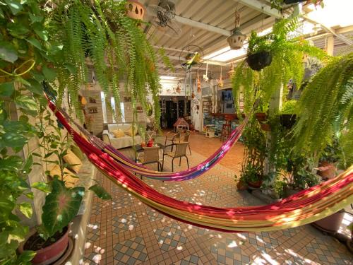 El Rodadero House | Casa Linda