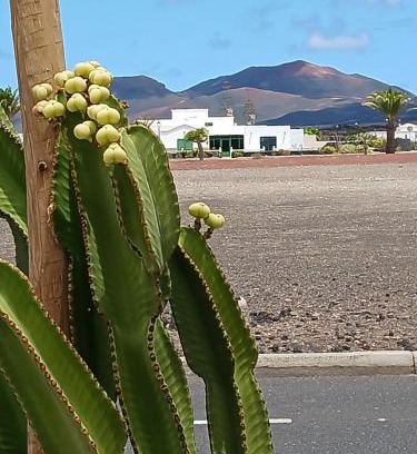 Uga House | Casa Los Volcanes