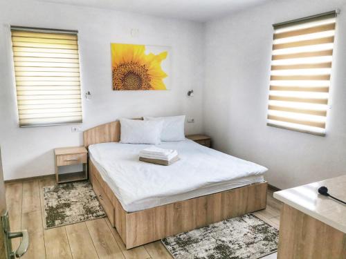 Sovata House | Casa Milla