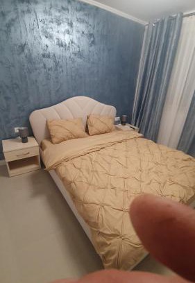 Craiova House | casa nedelcu