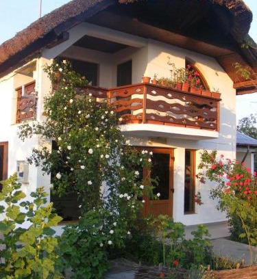 Plopul House | Casa Nicu Murighiol