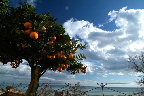 Grottammare Apartment | Casa Pazzi Dimora d'Epoca
