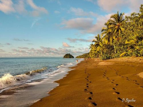 Nuqui House | Casa Prana, Termales, Nuqui