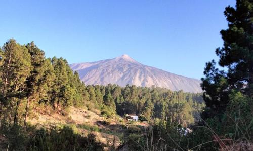 Icod de los Vinos Villa | Casa Regina