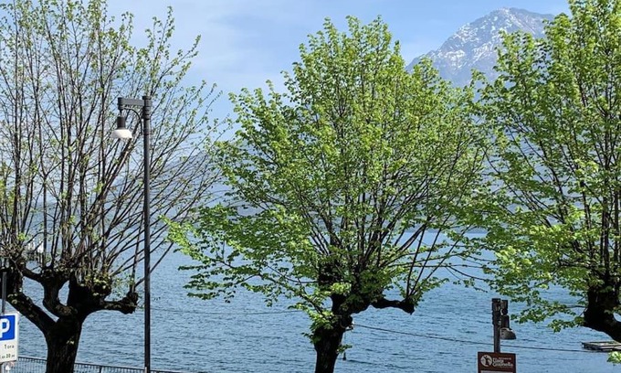 Dongo Apartment | Casa Rino: Vacanze in casetta.