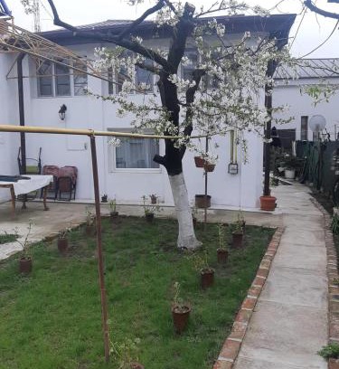 Craiova House | Casa