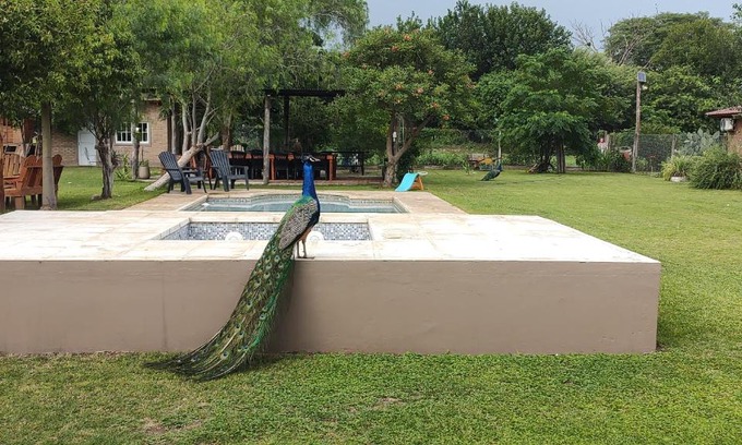 La Banda Other | Casa Rodante en granja