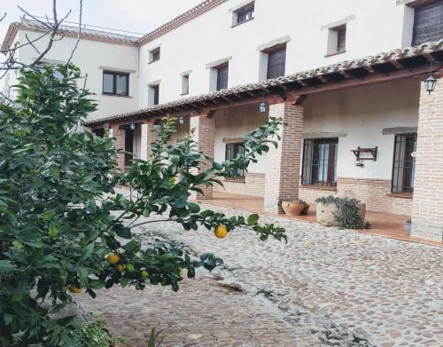 Aldeanueva de Barbarroya House | Casa Rural La Era