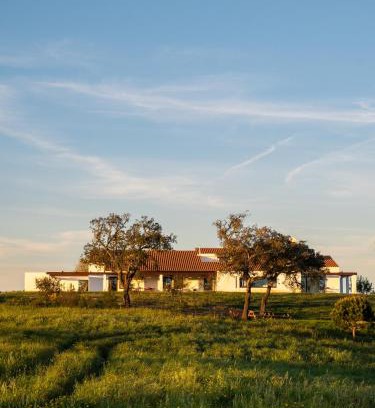 Santiago do Cacem Villa | Casa Vale da Rosa- August checkins and checkouts on Sundays