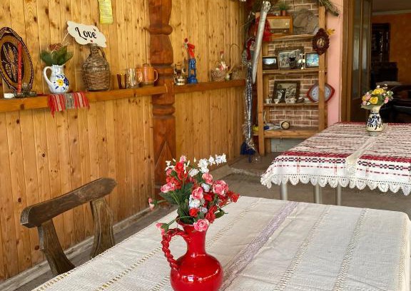 Beclean House | Casa Viki