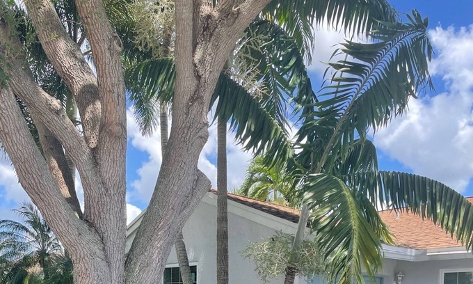 Davie House | CasaIris-West Broward Bright&Sunny Home w/ pool
