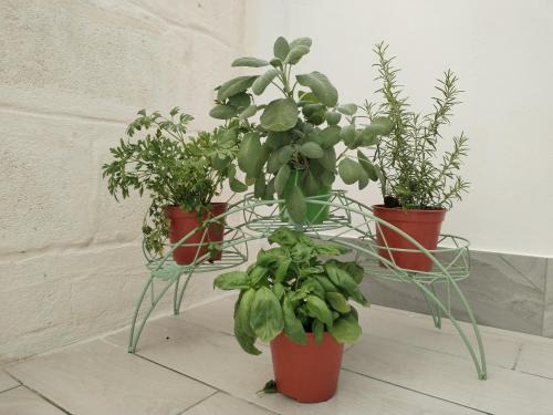 Torre Chianca Apartment | Case Vacanza Dimo Dimira - SALENTO & RELAX