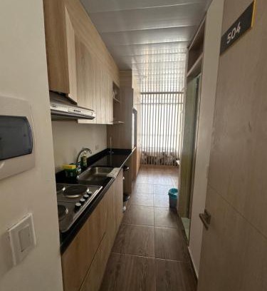 La Castellana Apartment | Castellana 504
