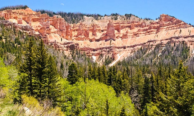 Cedar City Cottage | Cedar City 200 N Festival City Cottage House