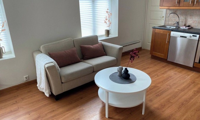 Narvik Apartment | Central bus station apt (D14C)