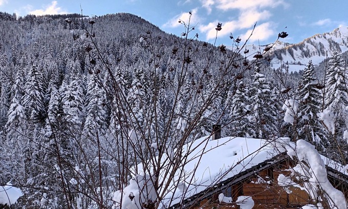 Vionnaz Ski Chalet | Chalet 8 people near the slopes