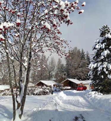 Saint-Leger-les-Melezes Ski Chalet | Chalet calme