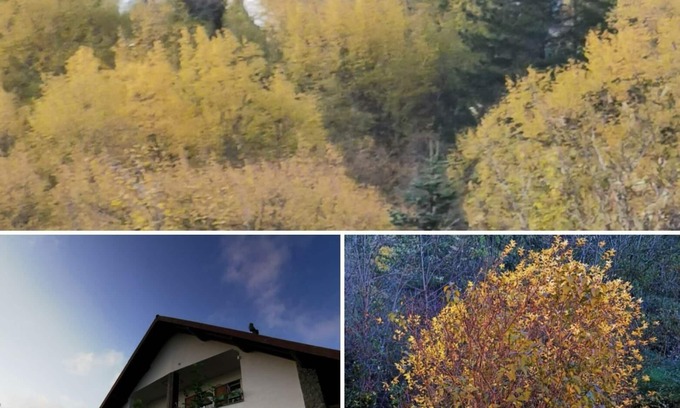 Borzonasca Apartment | Chalet 'Pearl of the Alta Via'