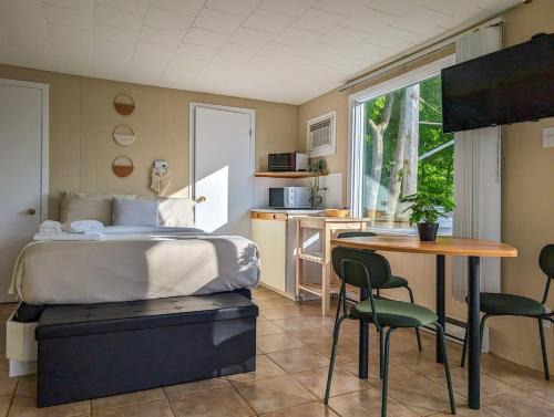 Cap-Saint-Ignace Ski Chalet | Chalet Studio #12 Wifi, AC & BBQ