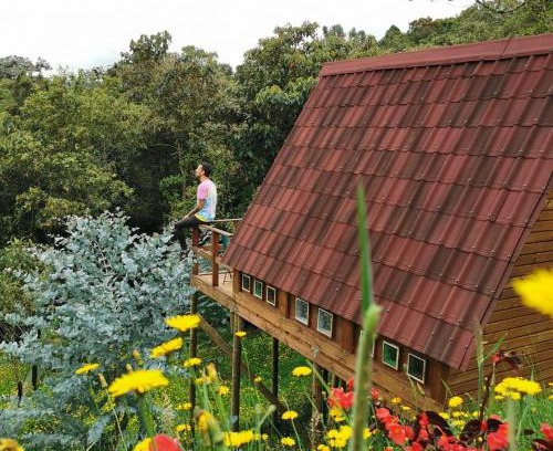 Los Nomos House | Chalets en Santa Elena en medio del Bosque