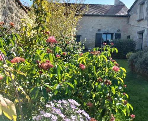 Magneux Bed & Breakfast | Chambre Hortense