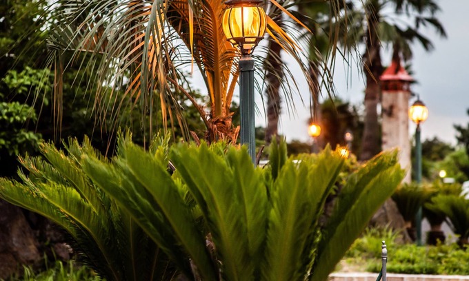 Daecheon-dong Hotel | Chamonix Resort