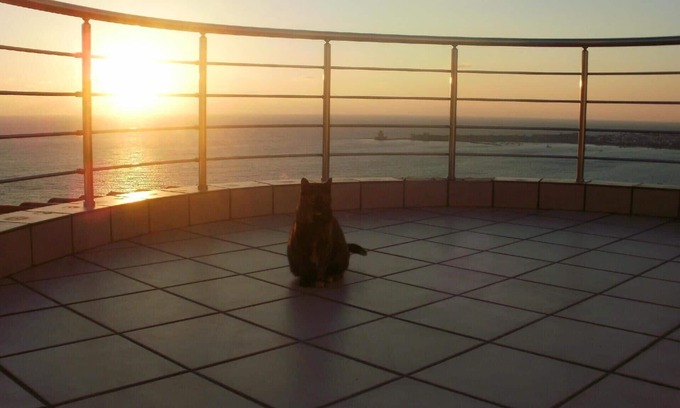 Pylos-Nestoras House | Charly Point Villa