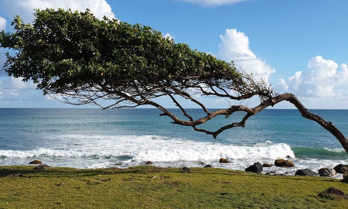 Bas Vent House | Charmant bungalow pour 8 personnes avec piscine