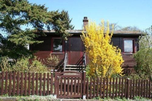 Laubach House | Charmantes Ferienhaus in Lauter mit Großem Garten