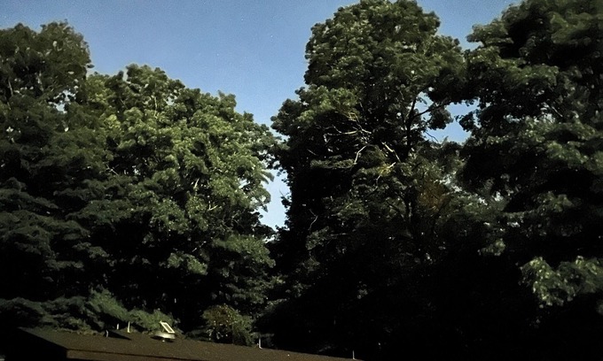 Canaan Cottage | Charming 1-bedroom cabin w/pond on 5 private acres near Tanglewood & Berkshires