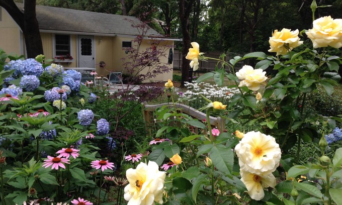 Brewster Cottage | Charming Cape Cod Cottage