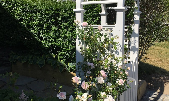 Nantucket Town Cottage | Charming Convenient & Affordable Prime 5-Star Rated In-Town Location