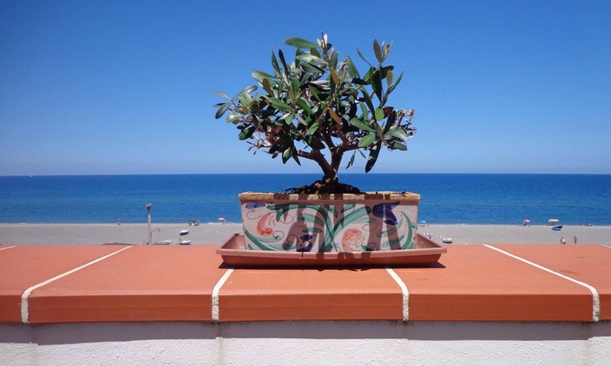 Marchesana Apartment | Charming flat in Marchesana with terrace