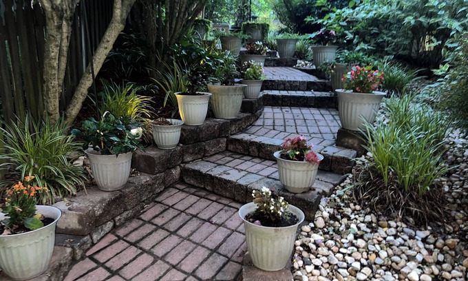 Waldorf House | Cheerful1 bedroom basement with separate entrance