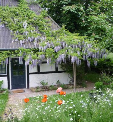 Rantzau Apartment | Chestnut Cottage
