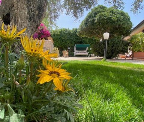 Citta del Mare Bed & Breakfast | Chez Gigì mareh24
