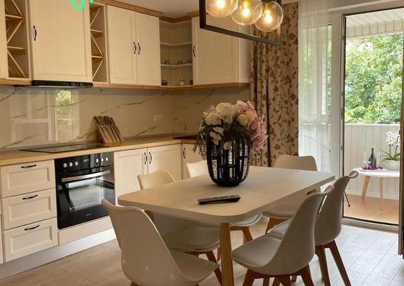 Viseu de Sus Apartment | Chic Studio Maramures