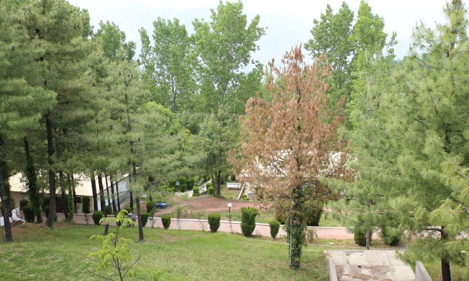 Bhurban Hotel | Chinar Family Resort