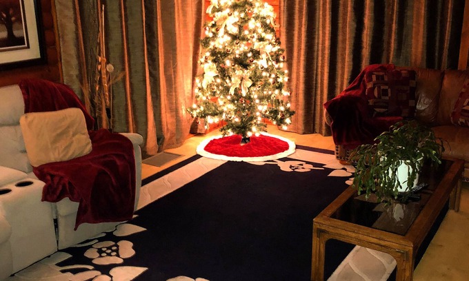 Regional District of Nanaimo House | Christmas/New Years SEA TO SKI Mt.washington Beach Log home slps 14