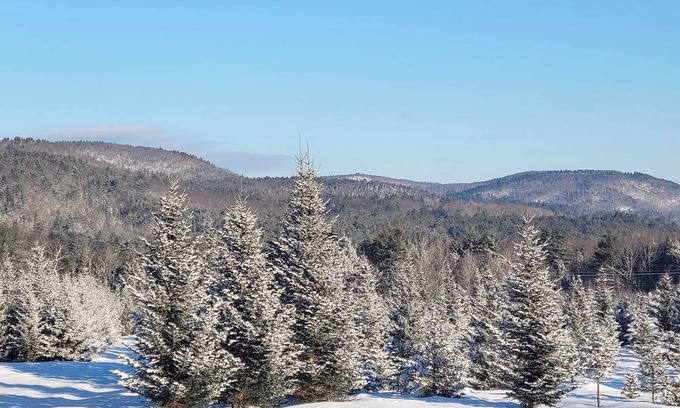 Guild Other | Christmas Tree Farmhouse stay with great view and 16 acres of walking trails