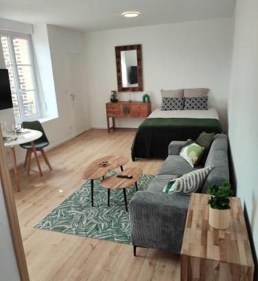 Charleville-Mezieres Apartment | CMG Studio 202 XL Petit Bois Place Ducale