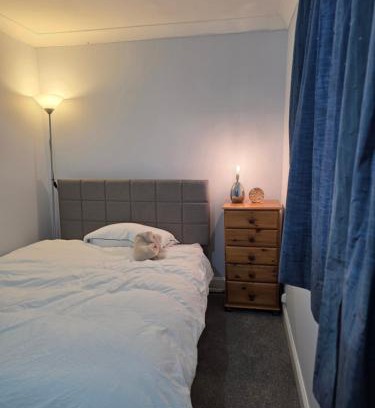 Colchester House | Colchester chill x1