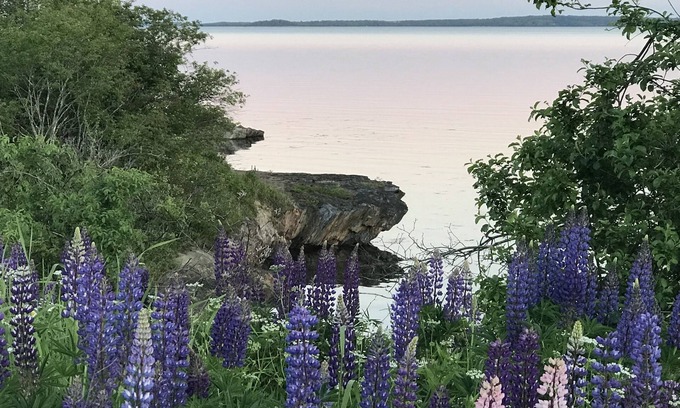 Searsport House | Colcord Cottage- quintessential oceanfront cottage