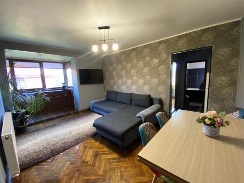 Petrosani Apartment | Comfort Home Apartment 2