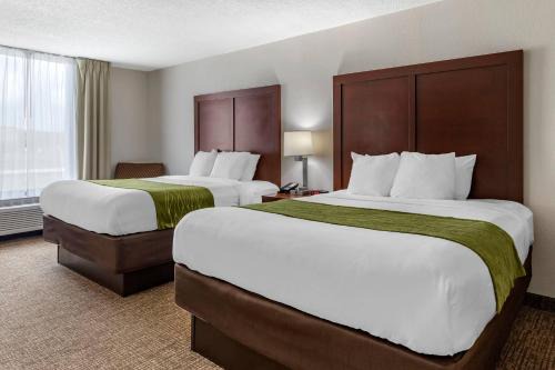 Shelby Hotel | Comfort Inn Shelby