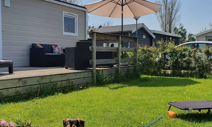 Hippolytushoef Ski Chalet | Comfortable chalet with dishwasher, near the Wadden Sea