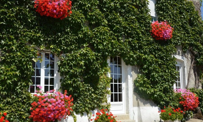 Doville Cottage | Comfortable semi-detached house with garden and pets allowed near the beach